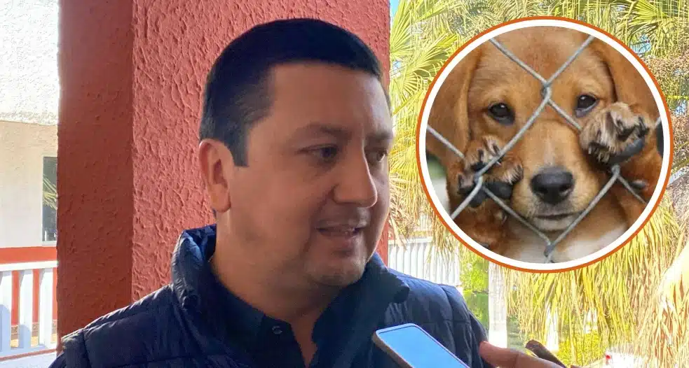 MALTRATO ANIMAL GUASAVE TORTURA