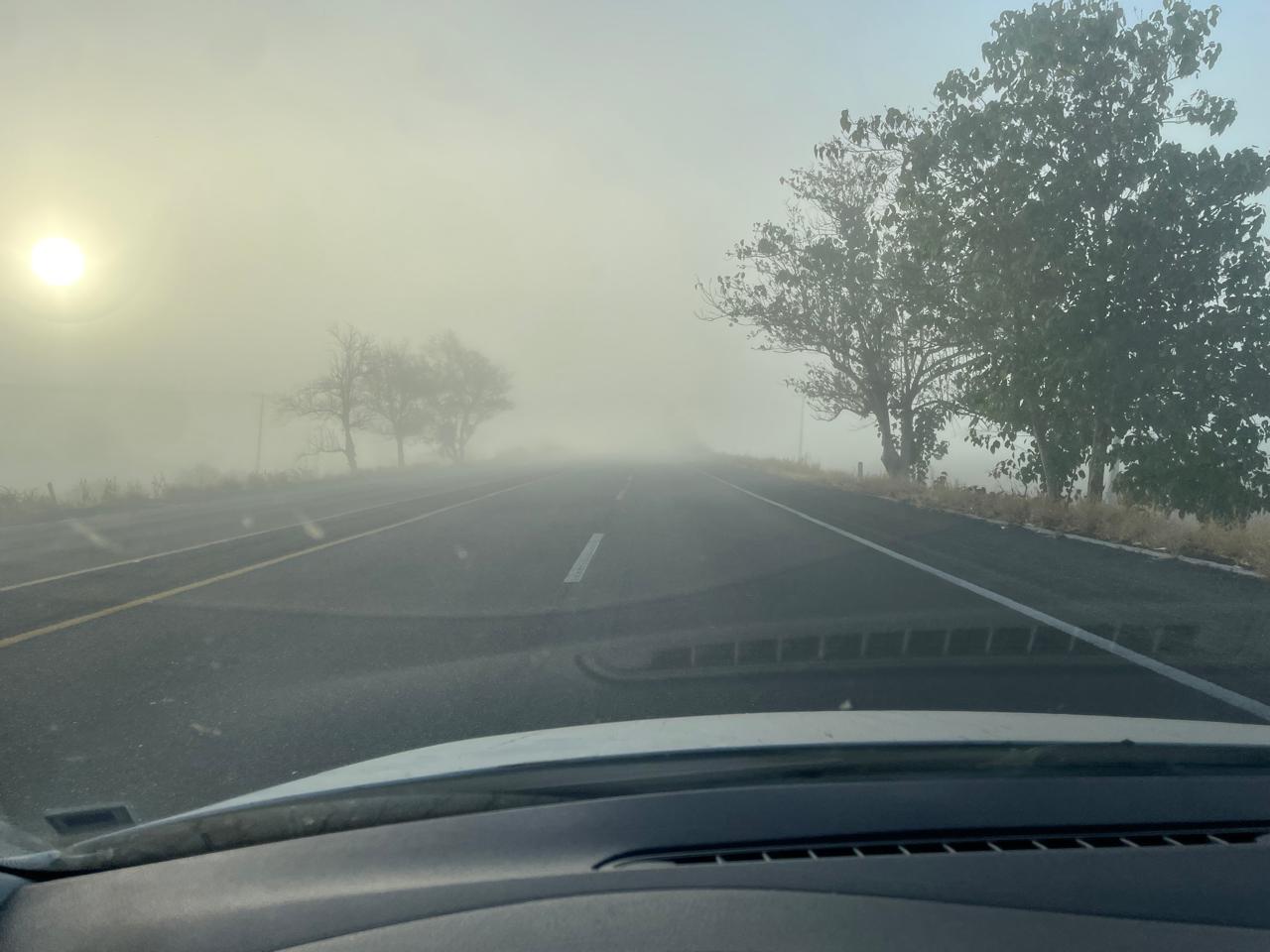 Niebla Sinaloa
