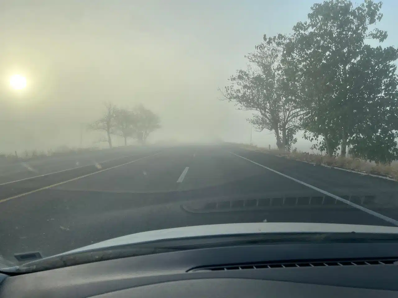 Niebla Sinaloa