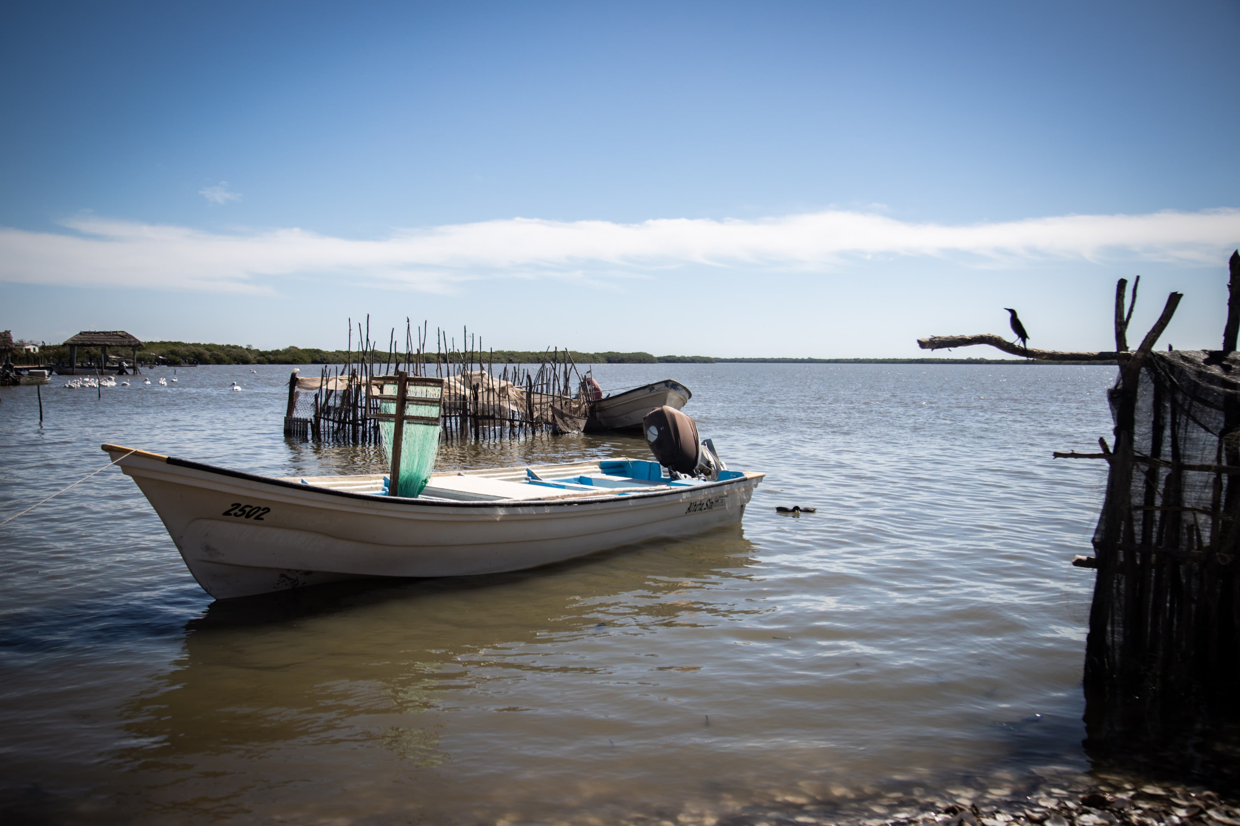 Pesca
