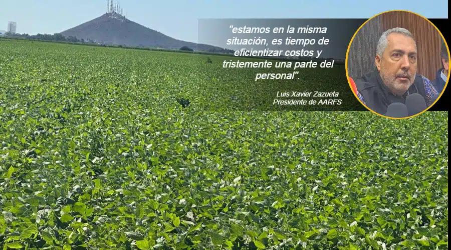 Se presentan problemas económicos en el sector agrícola de Ahome