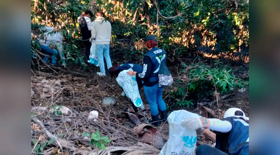 Ponen en marcha Cuidemos Los Manglares, Maztlan