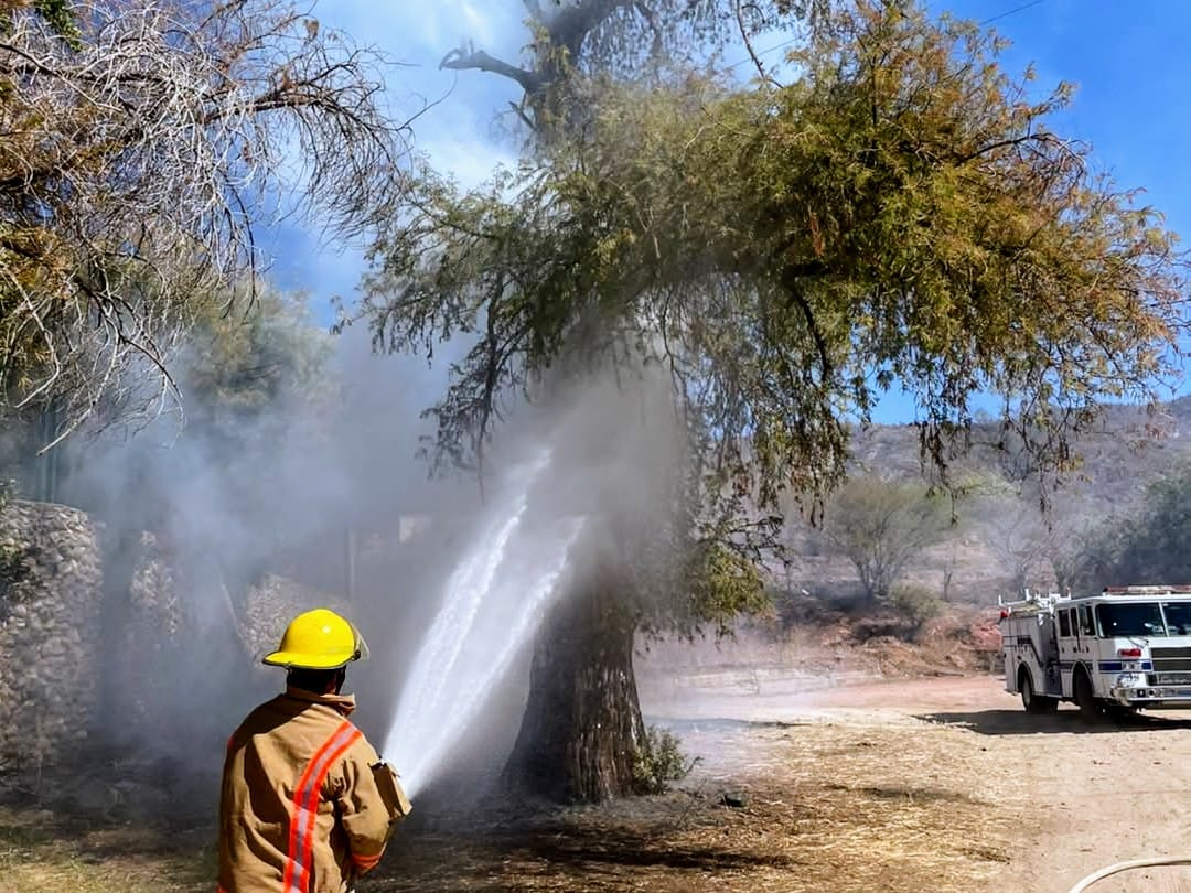 Protección Civil y Bomberos de Choix detienen incendio forestal a las afueras de la cabecera municipal