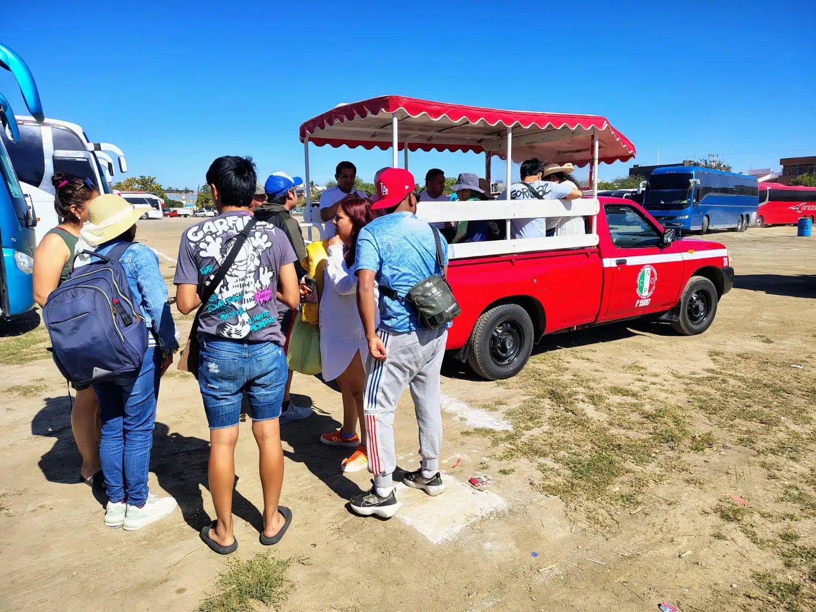 Transporte de pulmonías