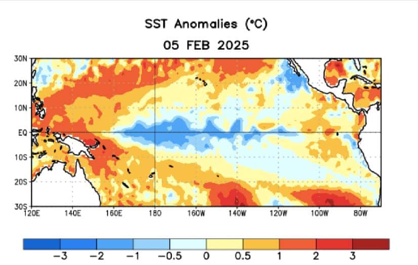 Anomalías en las temperaturas del mar al 5 de febrero de 2025.