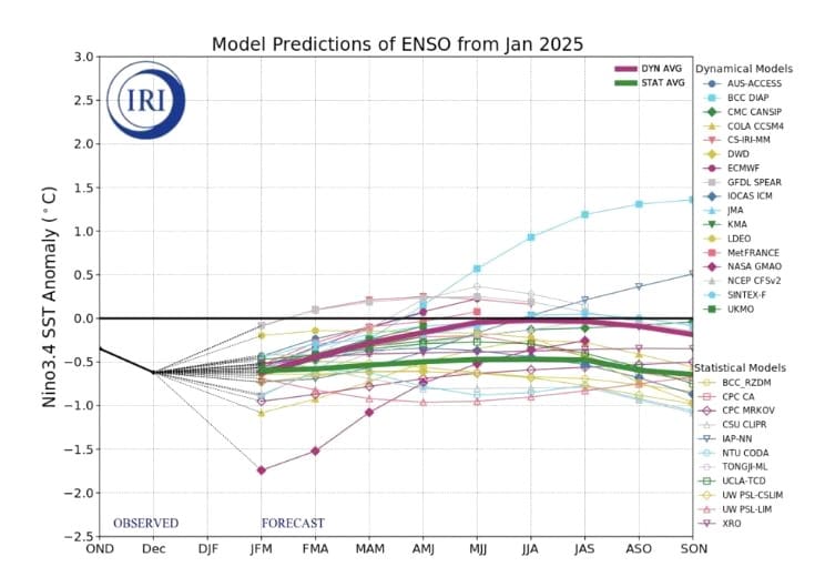 Modelos productivos de ENSO a enero de 2025.