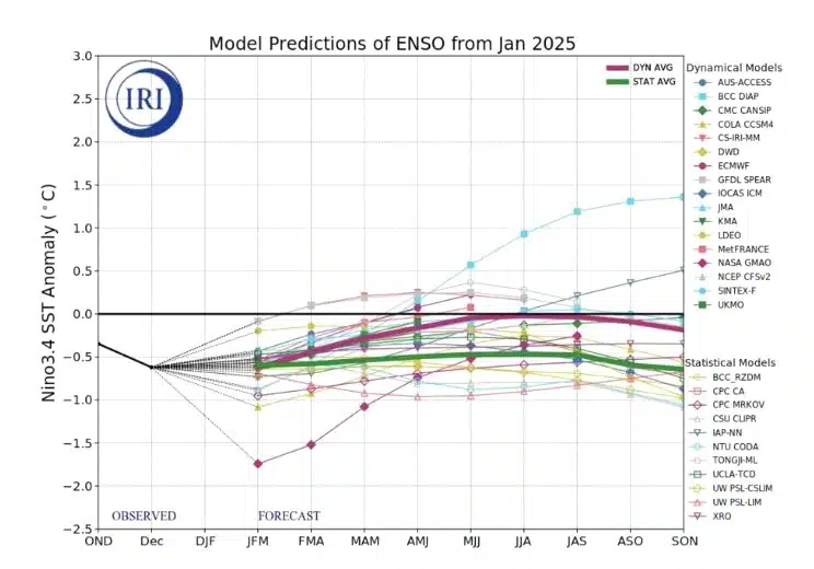 Modelos productivos de ENSO a enero de 2025. 