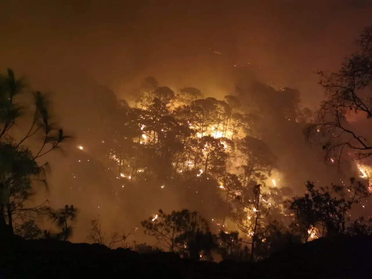 SINALOA INCENDIO FORESTAL