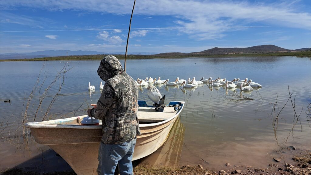 Sequía golpea la pesca en la presa Eustaquio Buelna