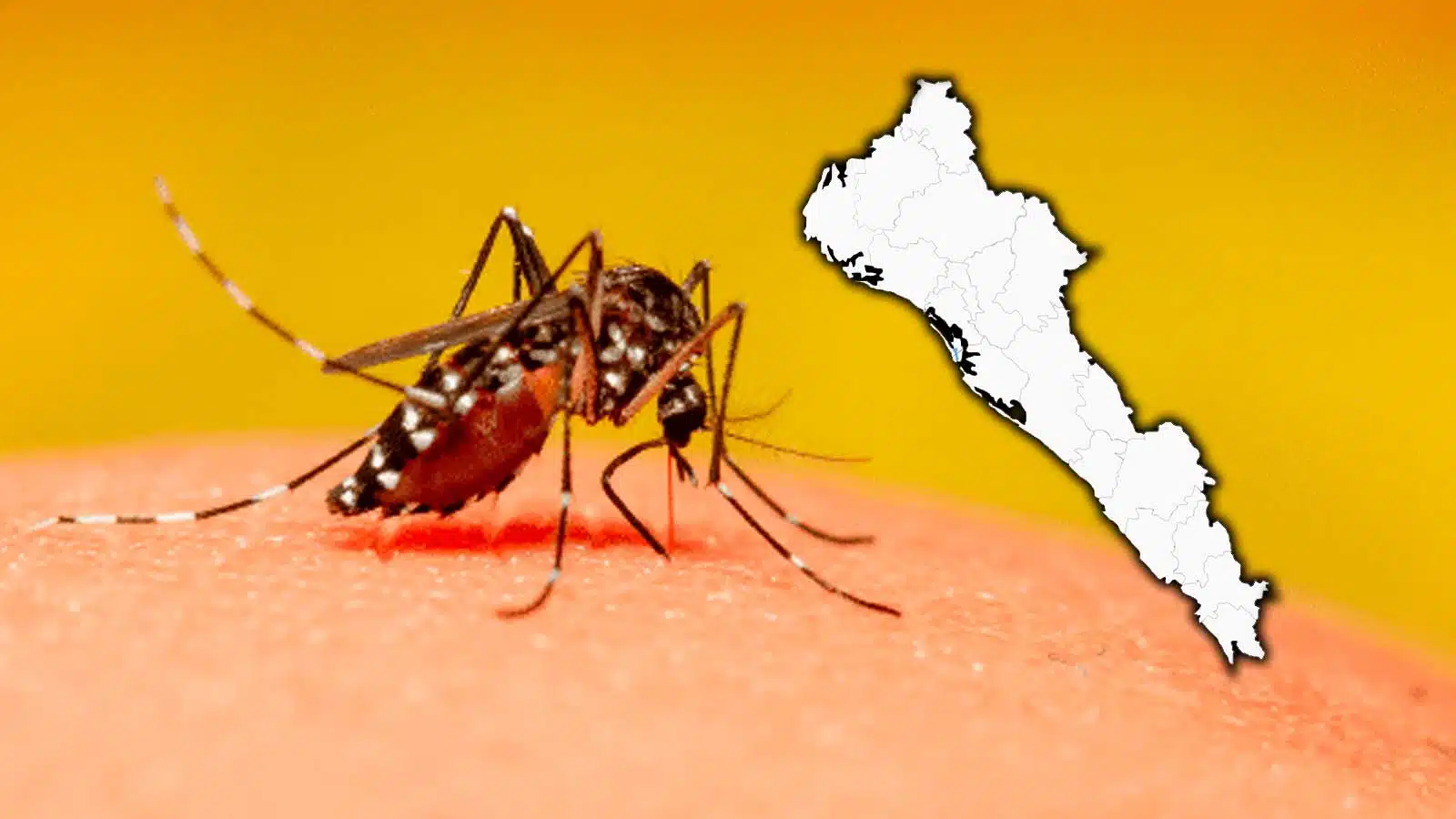 Sinaloa ocupa decimo lugar nacional dengue