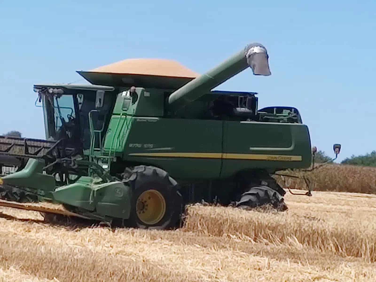 Máquina en campo de trigo