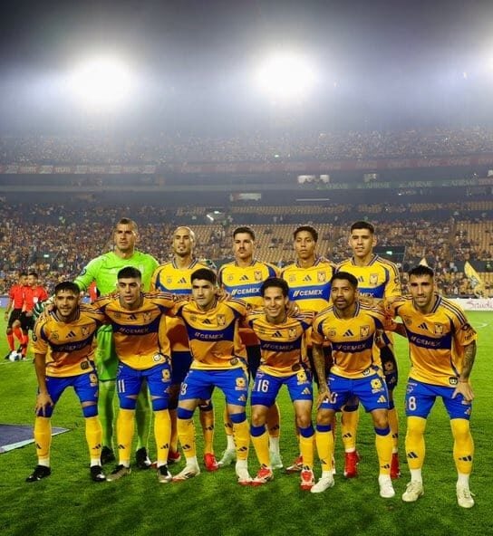 Tigres