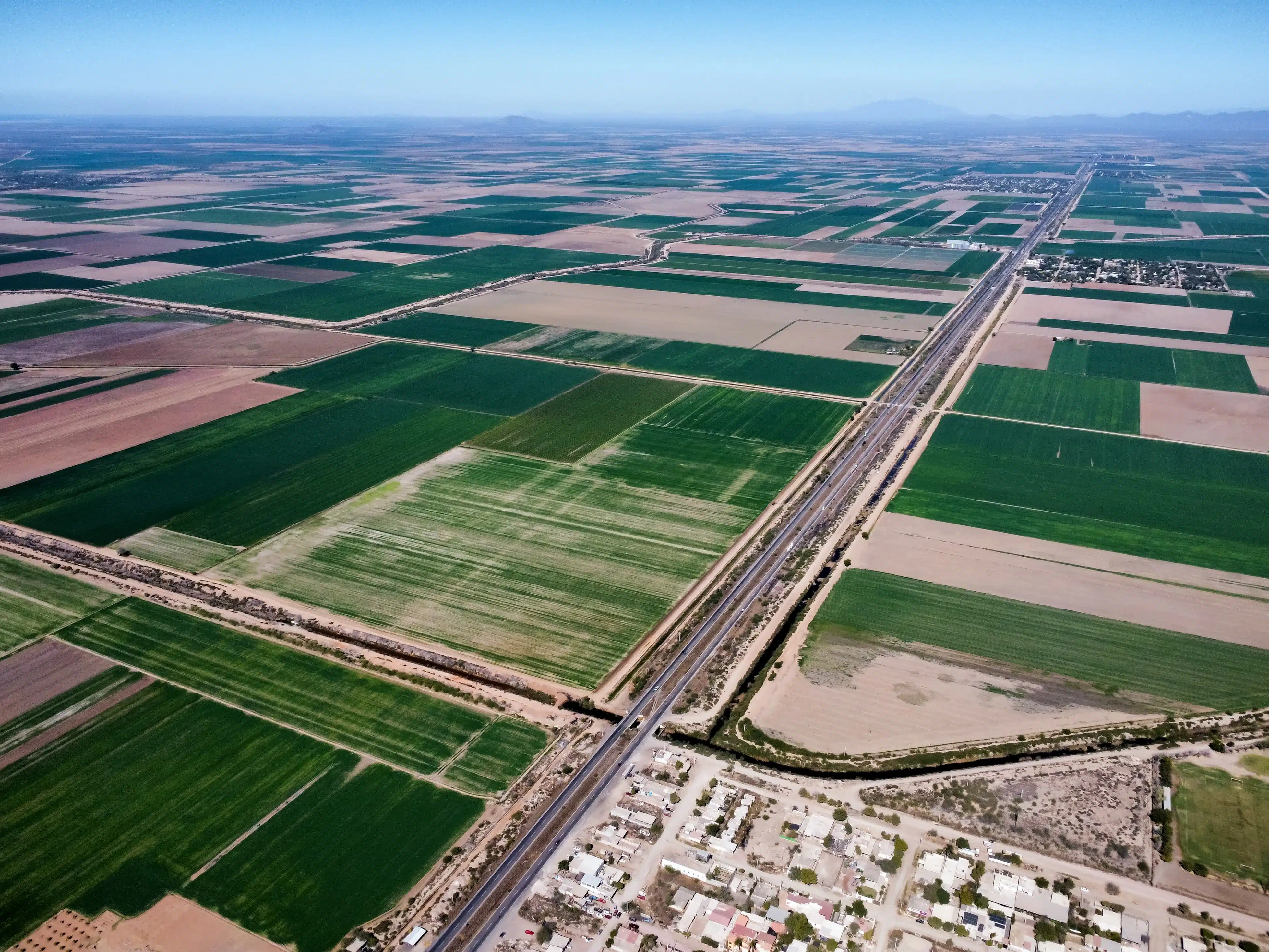 Vista aérea de las siembras en el Valle de El Carrizo.