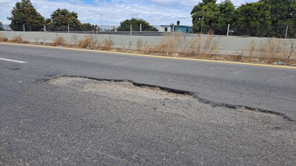 Bache en Guasave