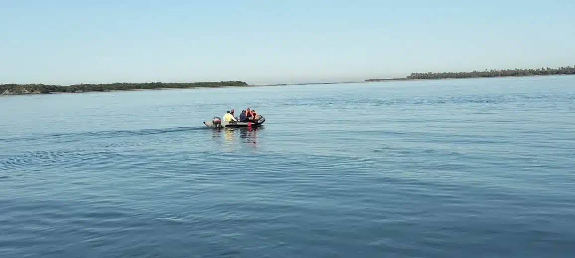 ballena en mazatlán (1)