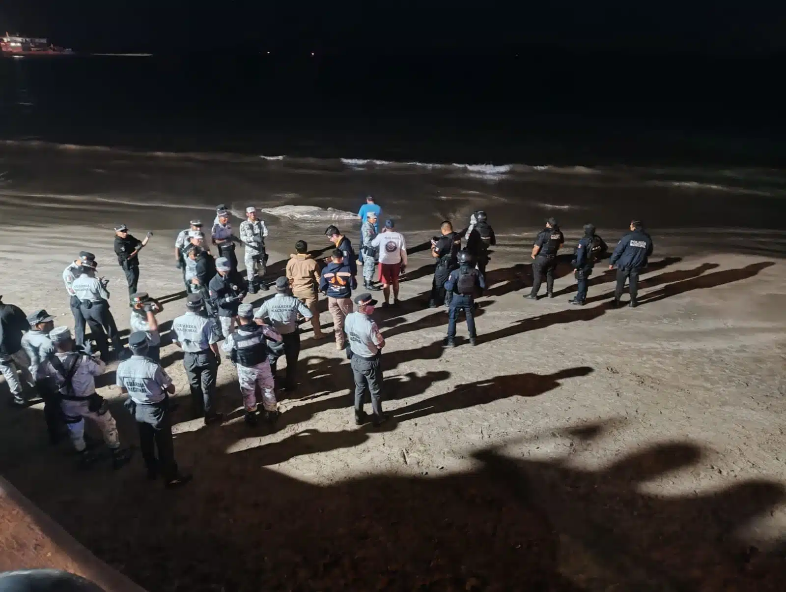 Autoridades y testigos observan a la ballena sin vida en la playa