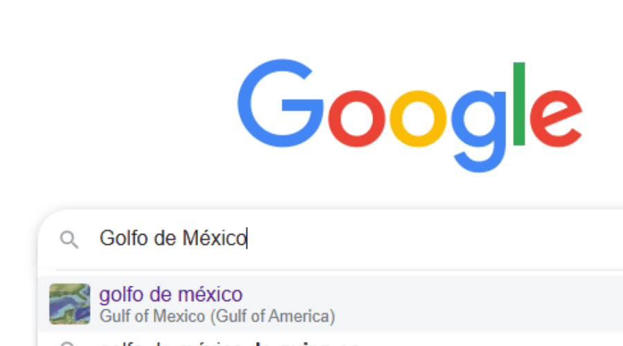 Buscador de Google.