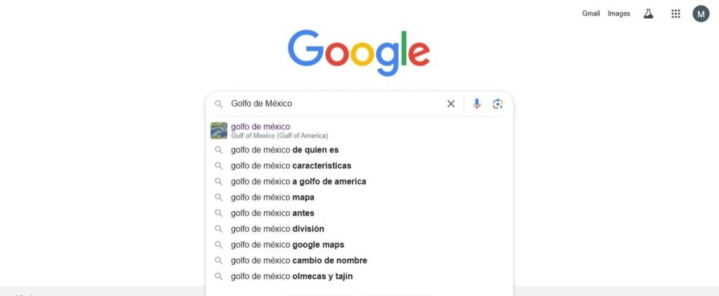 Buscador de Google. 