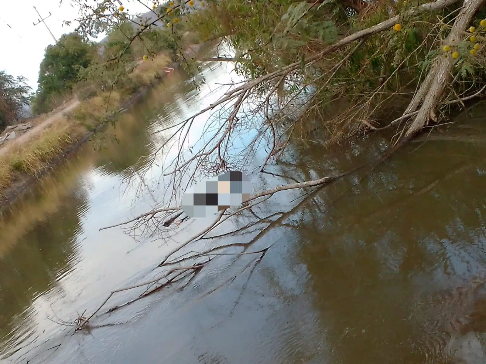 Hombre sin vida en canal de Oso Viejo, Quilá