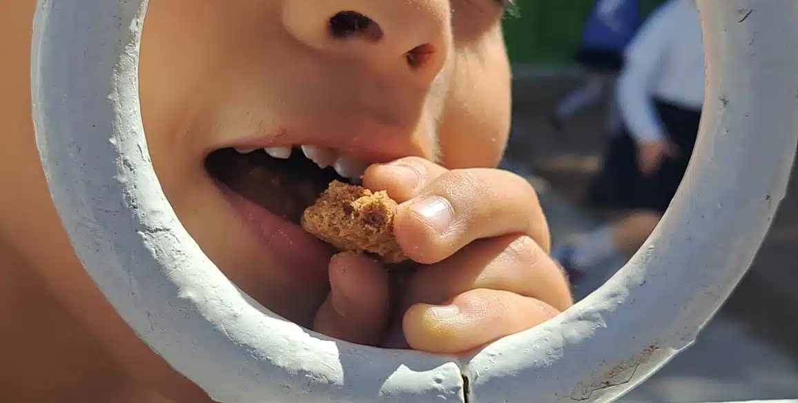 ALIMENTACIÓN NIÑOS GUASAVE PRIMARIA