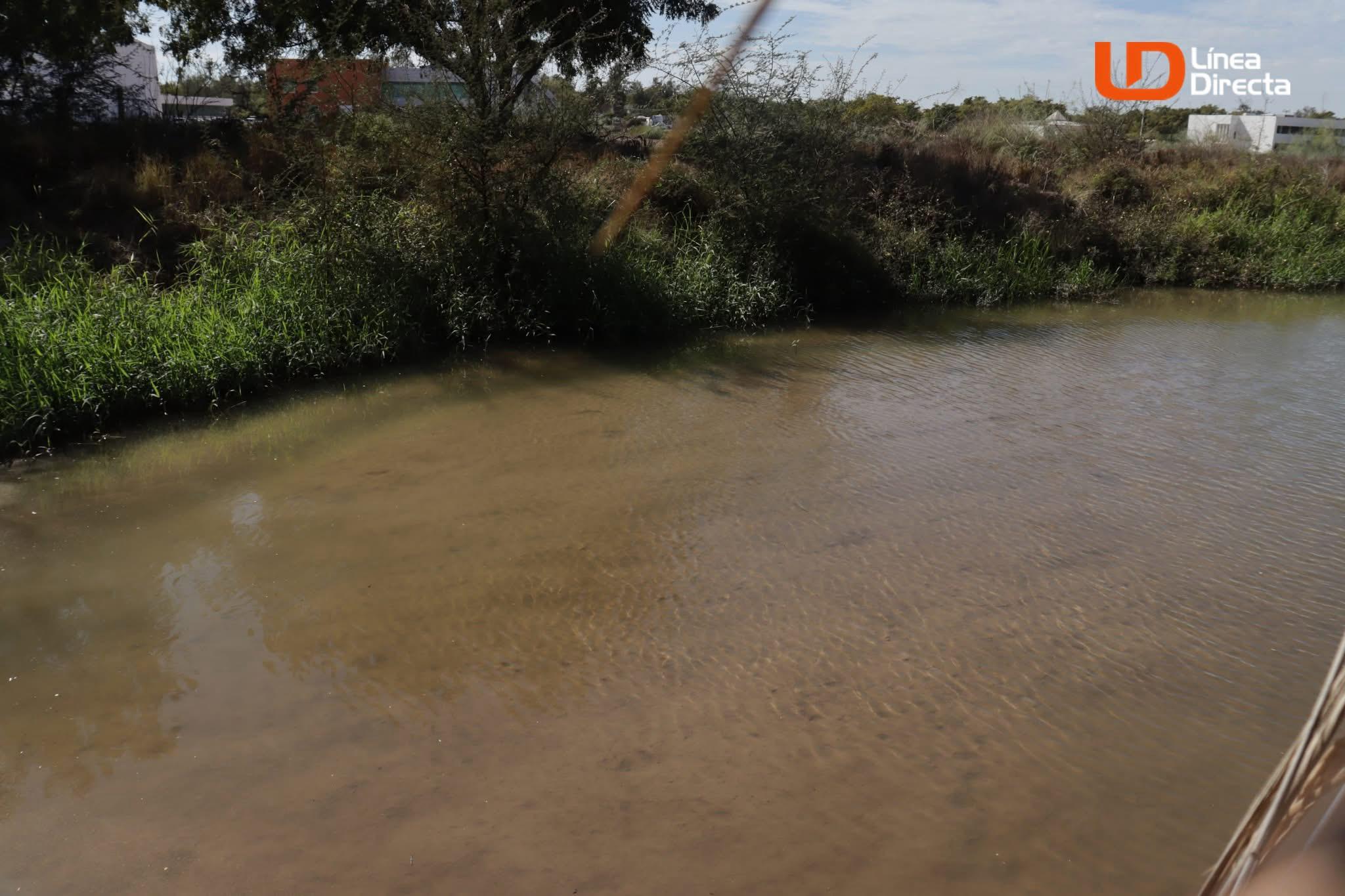 Canal con poca agua en Ahome
