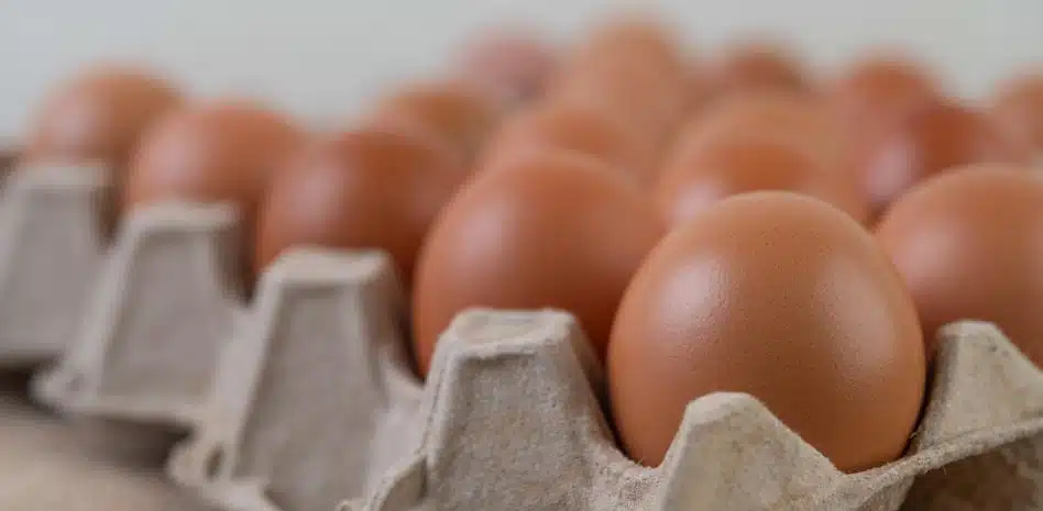 Escasez de huevos en EU provoca aumento de precios; el país busca importaciones desde Europa