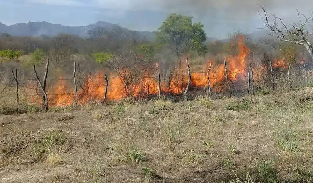 En Sinaloa podrían incrementar incendios forestales