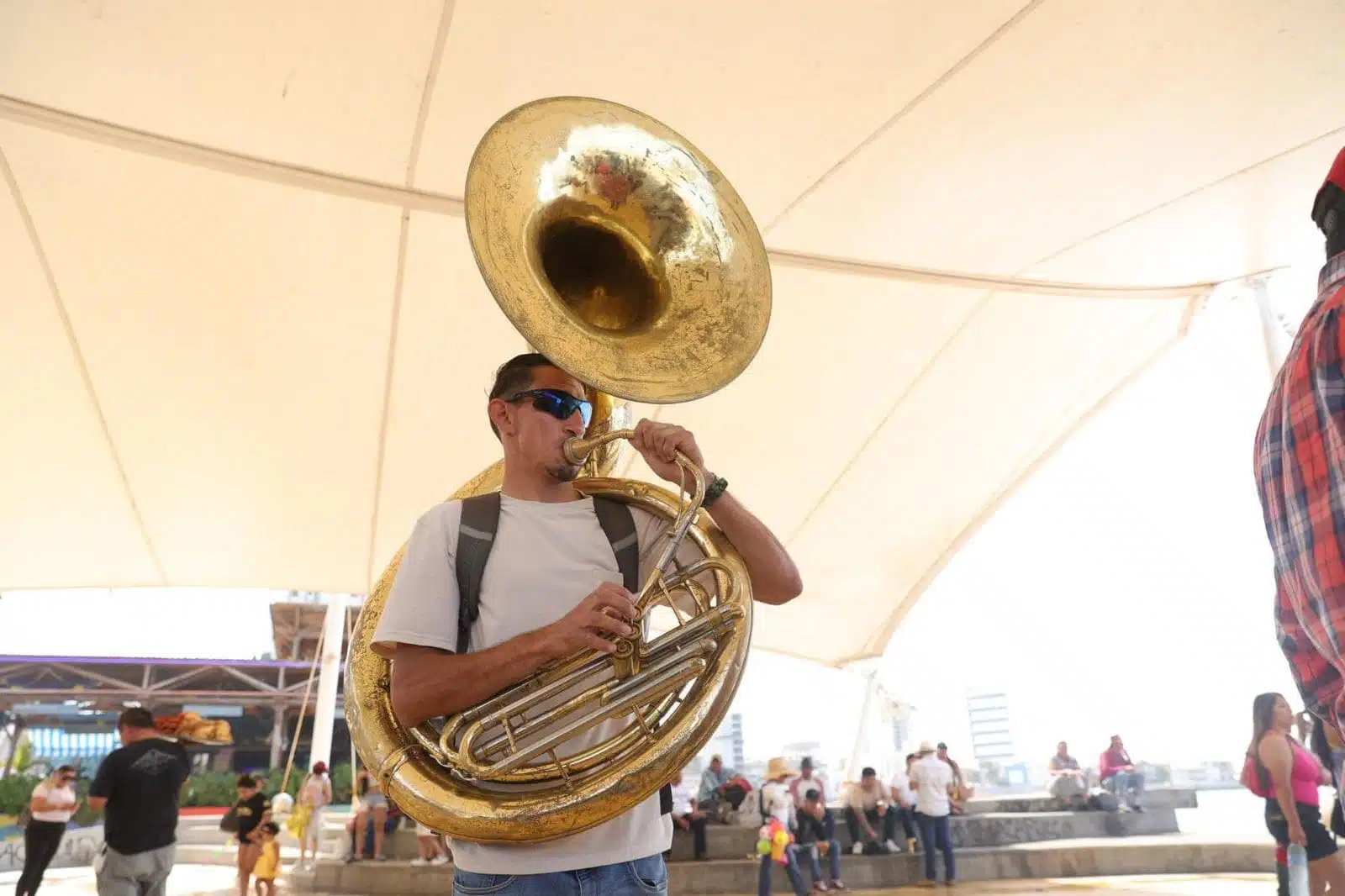 Músicos mazatlecos reciben apoyo económico