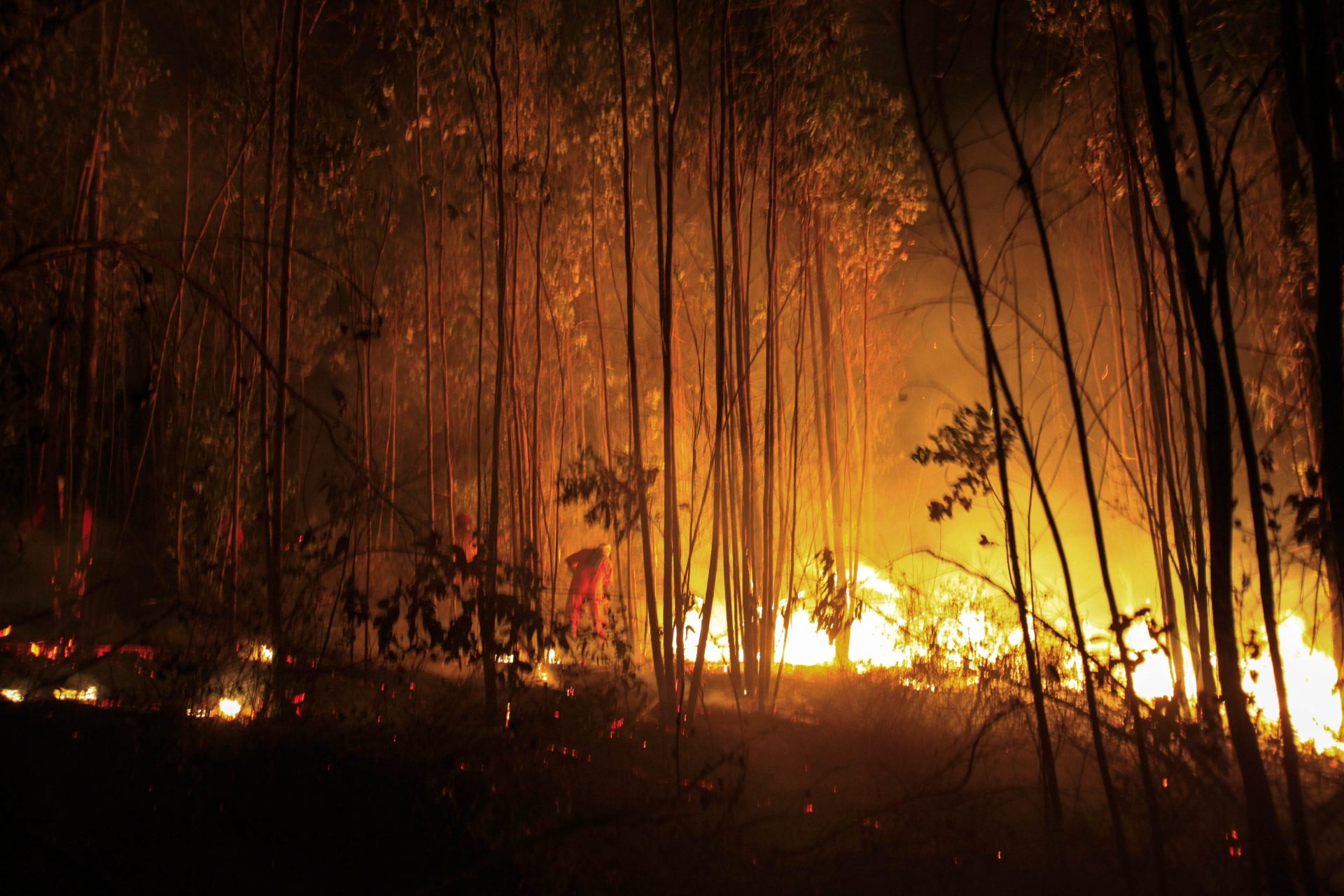 Ola de incendios en Oklahoma deja al menos cuatro muertos y graves daños