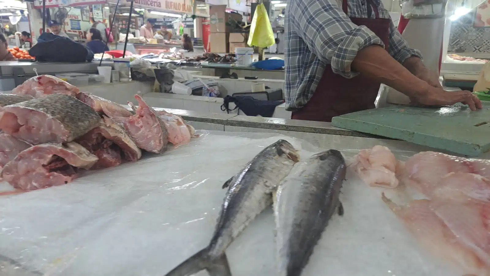 Pescado en venta Los Mochis