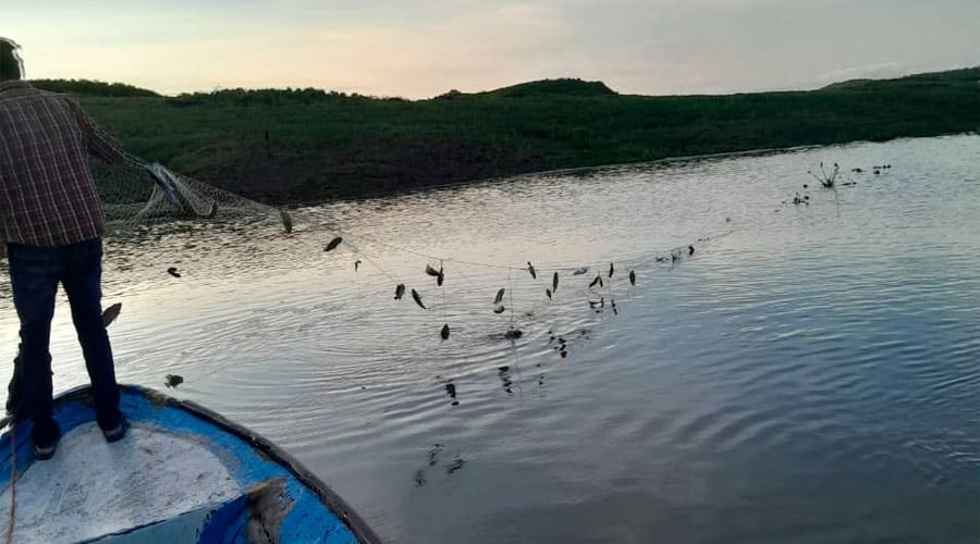 Pescadores presa El Varejonal reportan caída mojarra