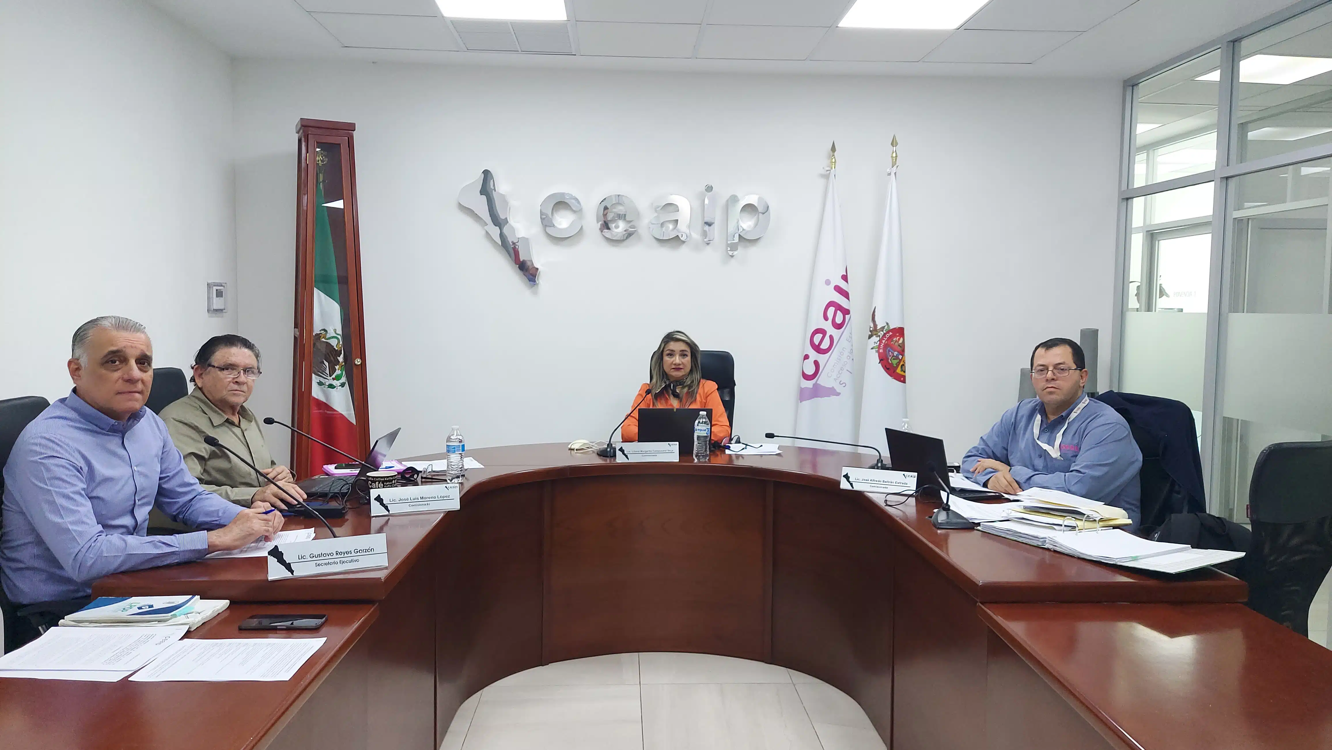 Pleno Ceaip