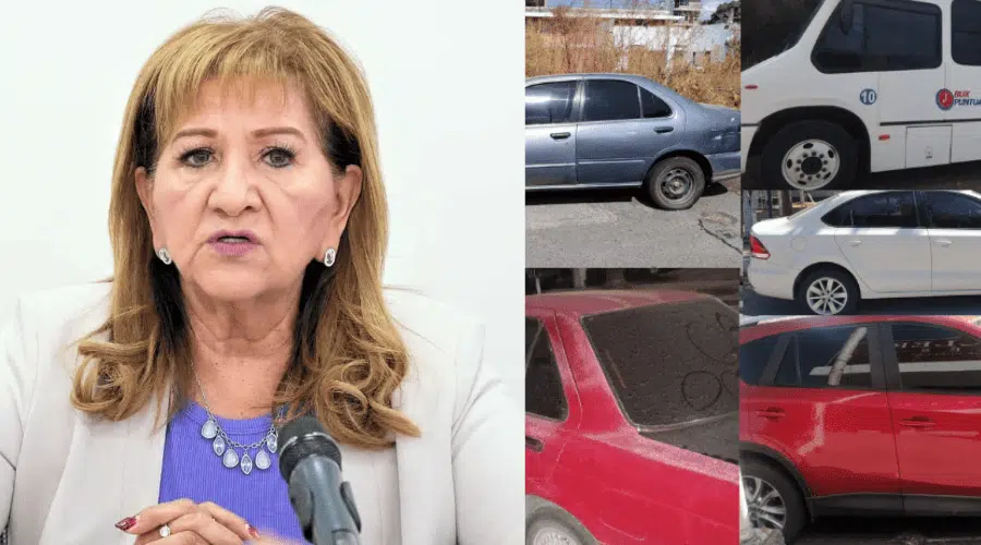 Tere Guerra aplaude operativo anunciado por Rocha