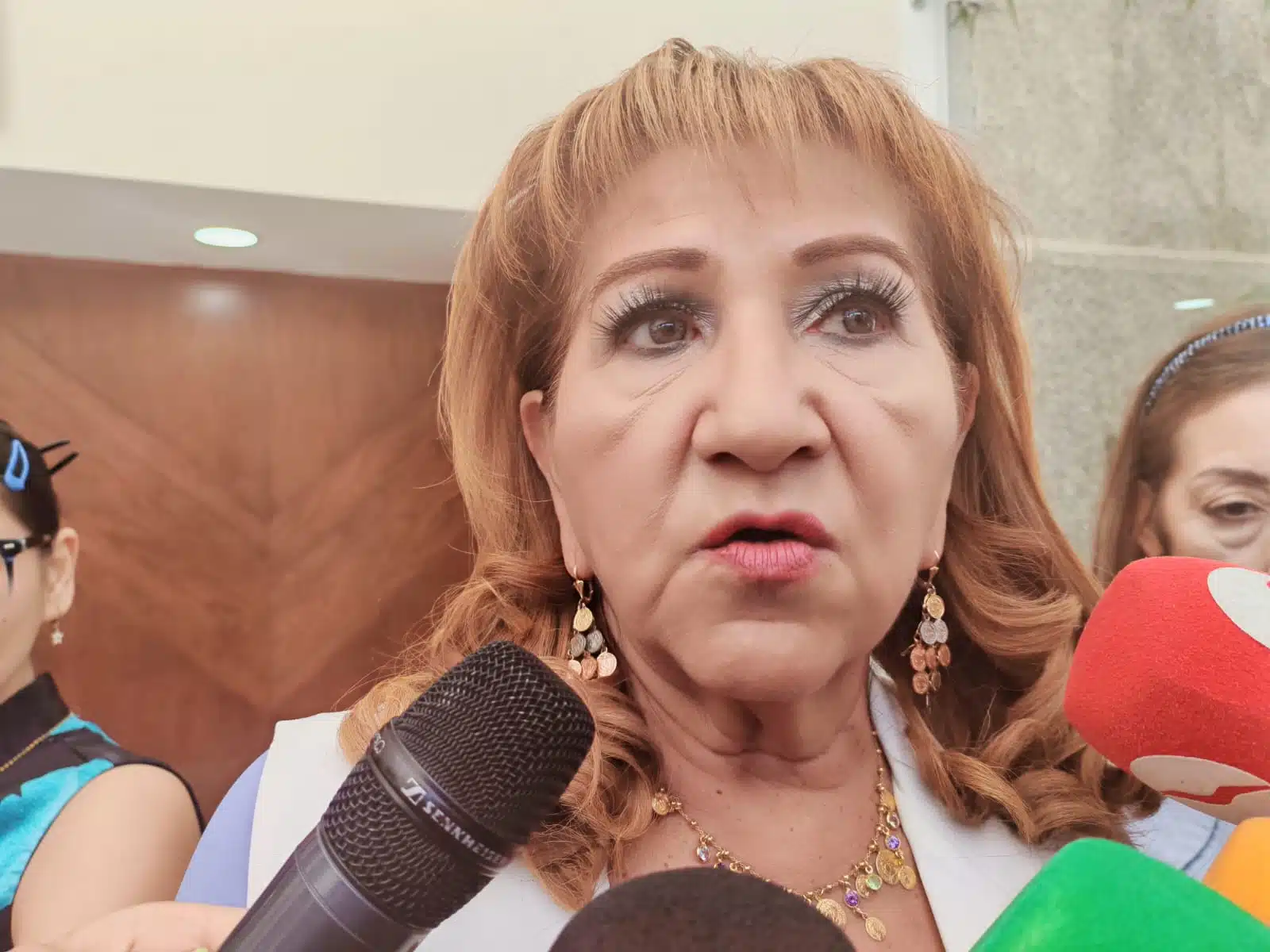 Diputada presidenta de Jucopo