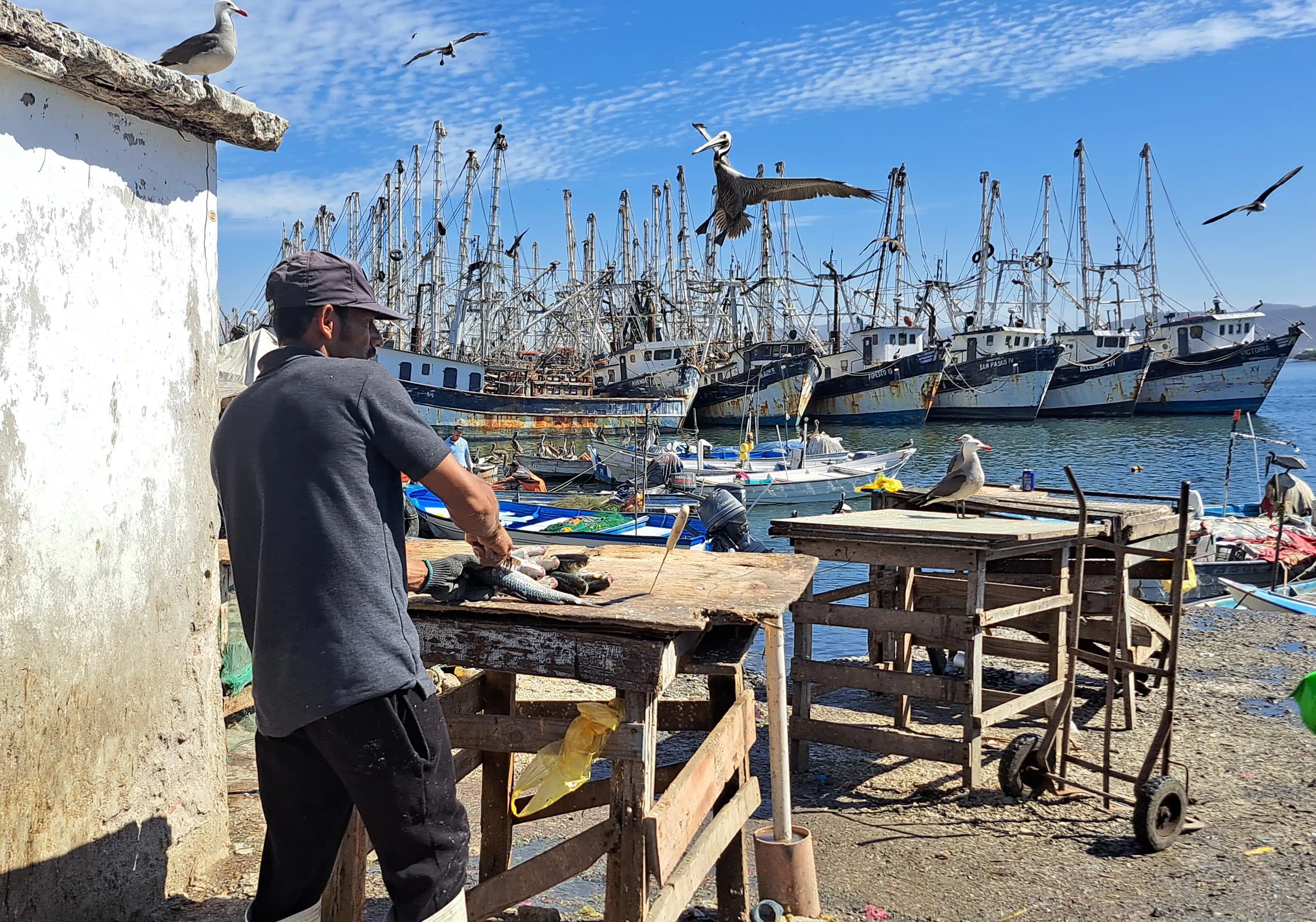 Venta de pescado en Isla de la Piedra