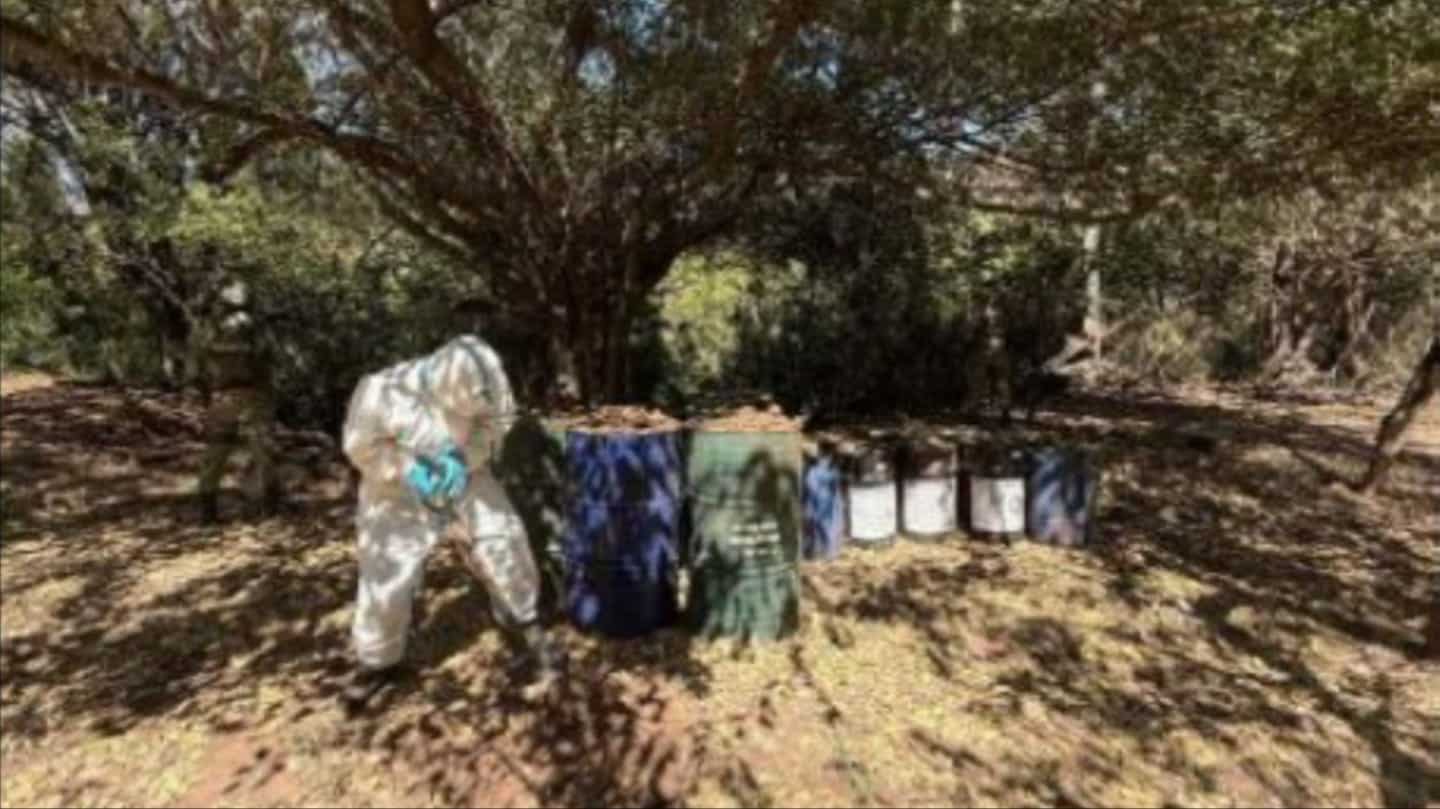 14 laboratorios clandestinos de elaboración de drogas sintéticas fueron asegurados