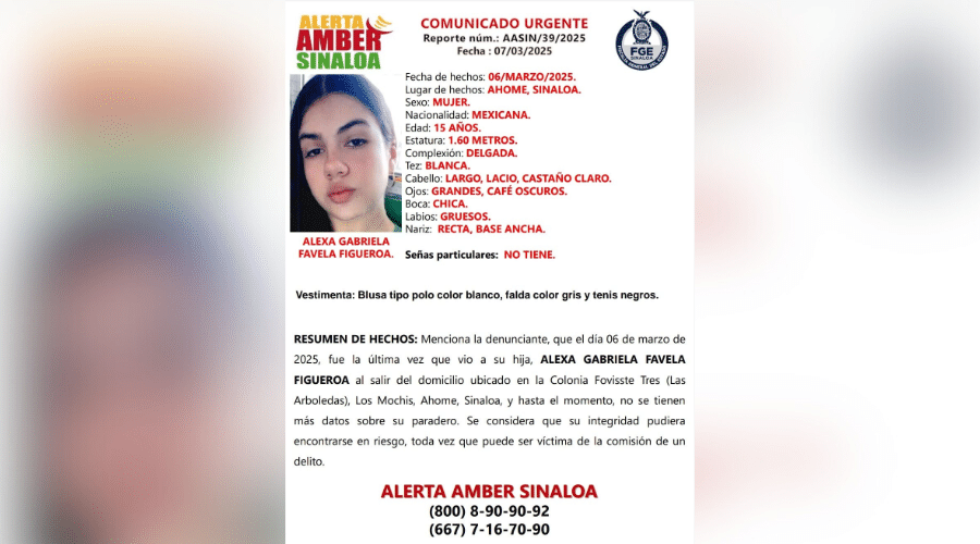Ficha de búsqueda de Alexa Gabriela