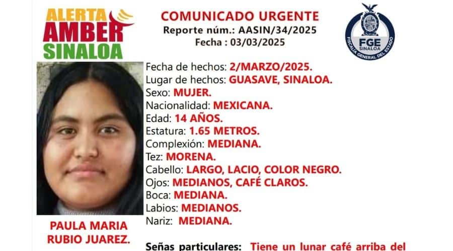 Ficha de búsqueda