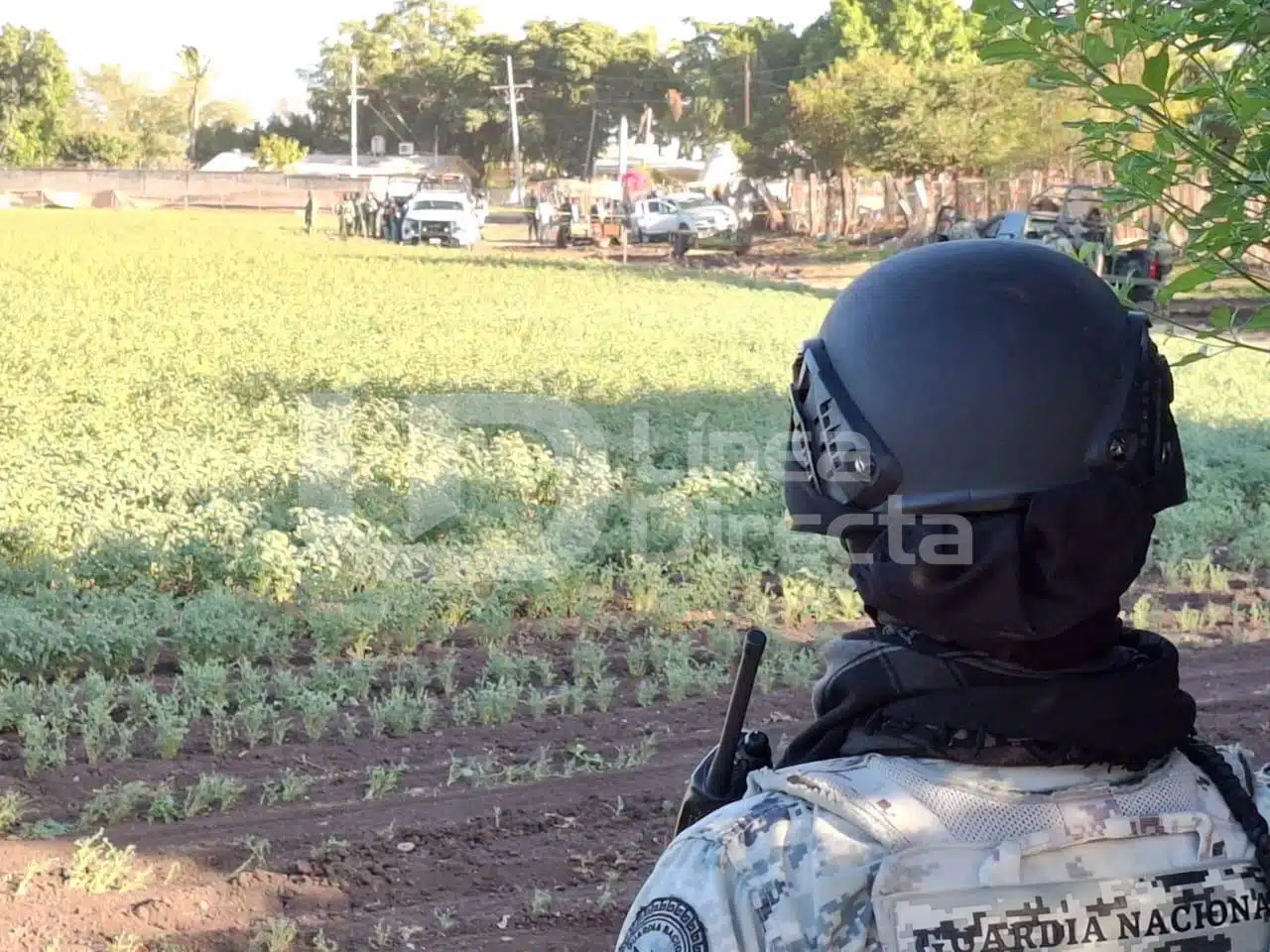 Enfrentamiento en Canán, Culiacán