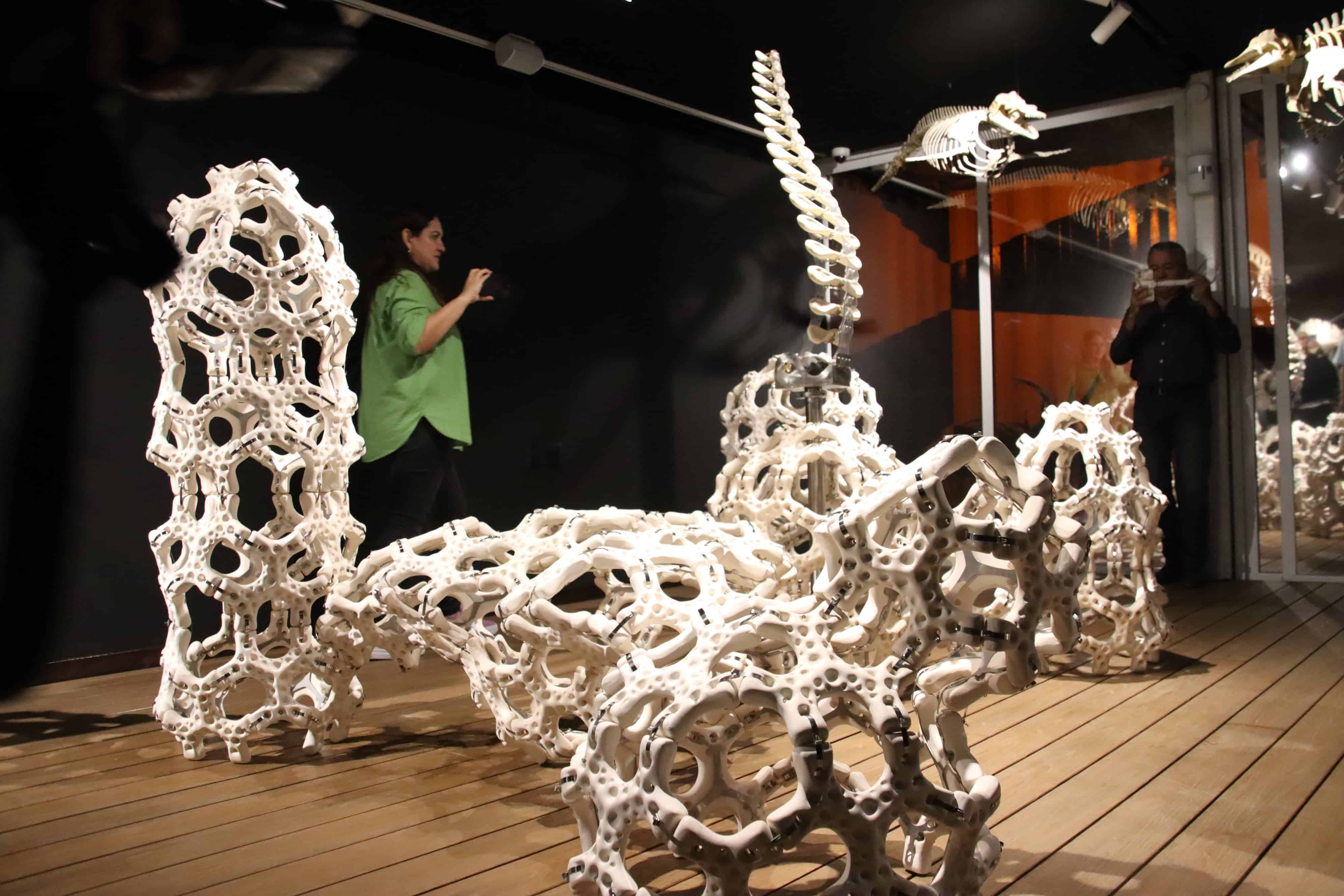 Exposición artística Korallysis