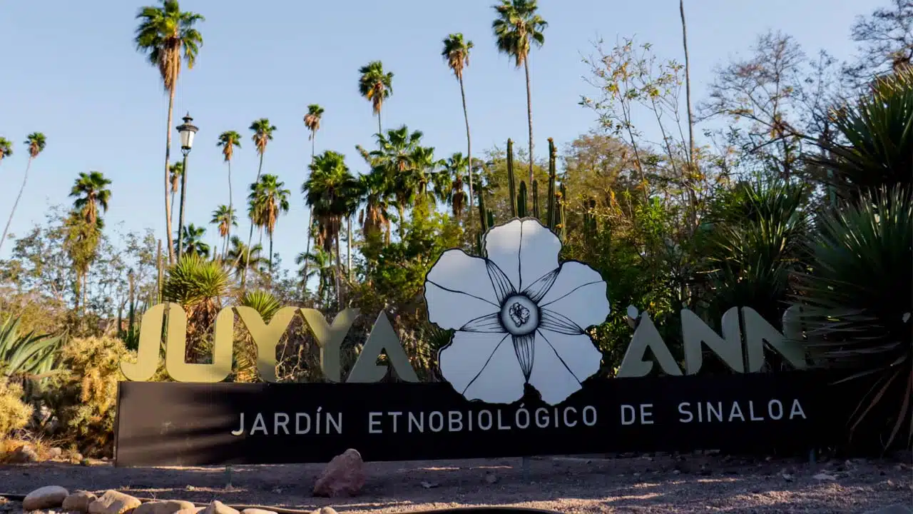 jardín Juyya Ánnia