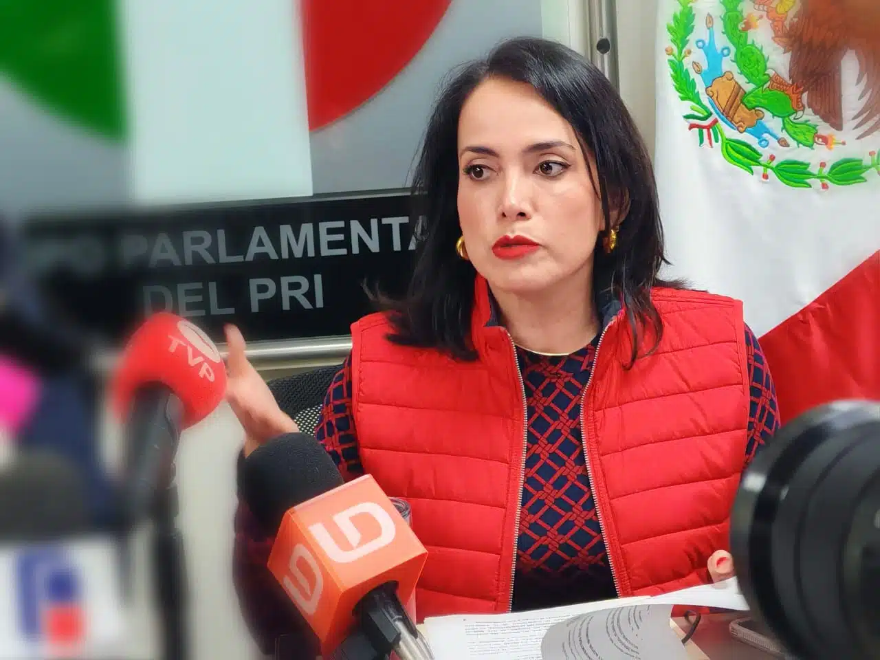 legisladora Irma Moreno Ovalles abogando por derechos a la mujer en casos de violencia