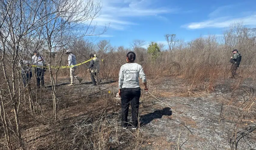 Rastreadoras y agentes de seguridad y pericial en un terreno