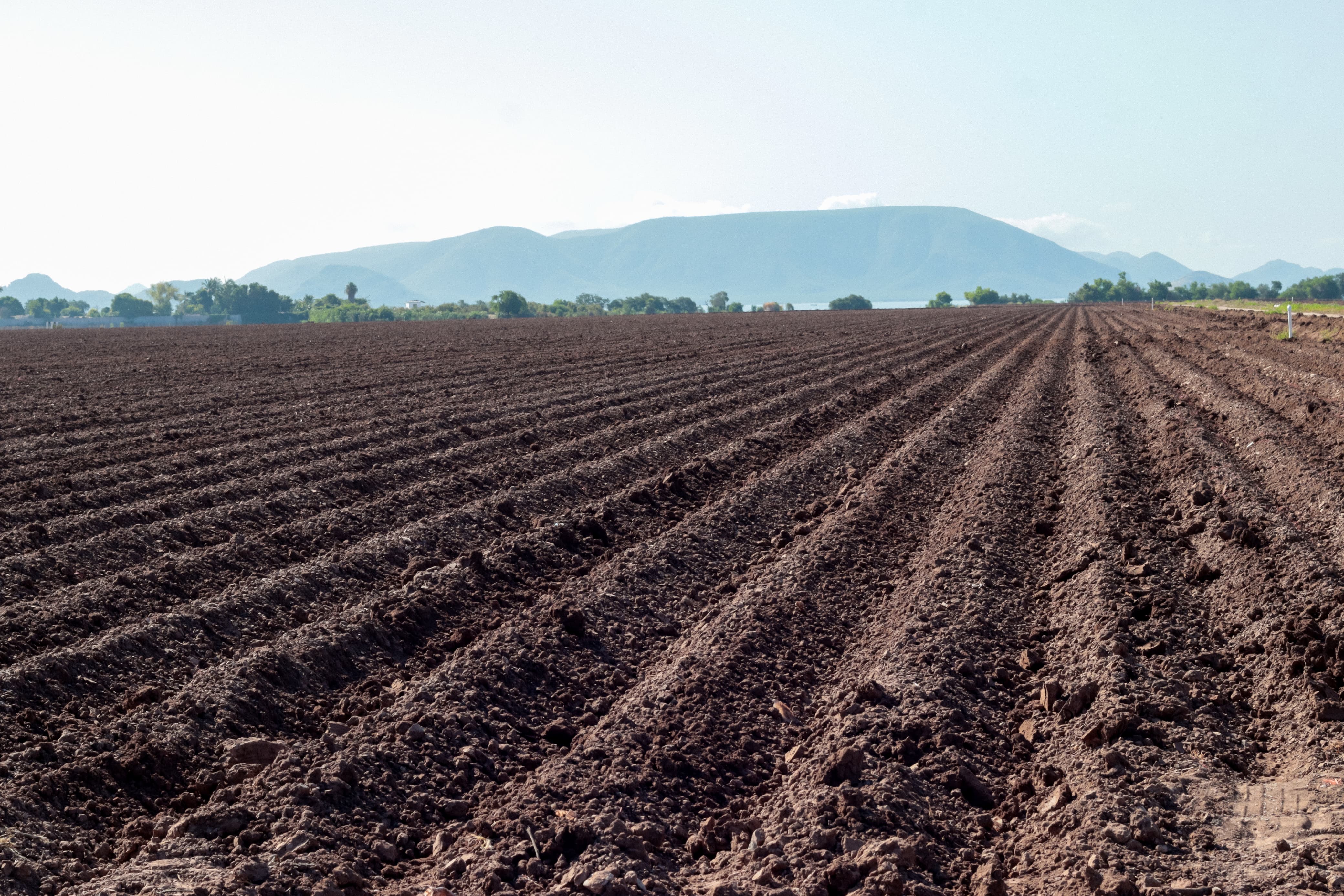 Tierras preparadas y sembradas