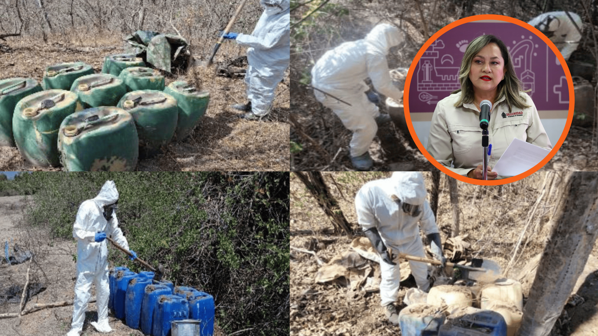 En Elota se trabaja en la desarticulación de grupos criminales y laboratorios clandestinos