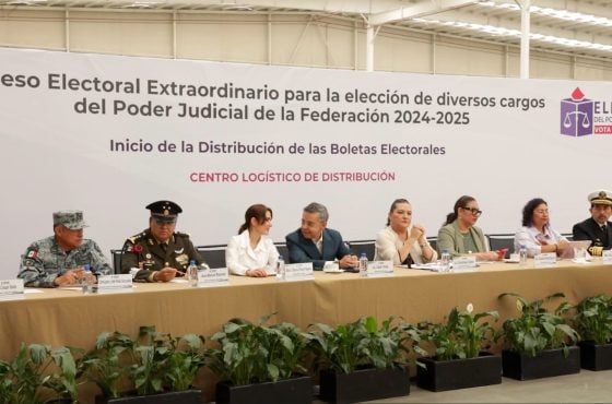 Consejera Presidenta del INE, Guadalupe Taddei Zavala