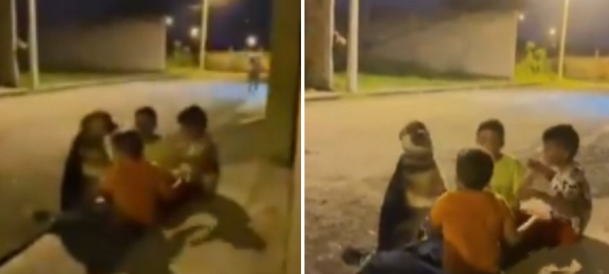 VIDEO:¡Exceso de ternura! Niños enternecen las redes al incluir a perro callejero en su juego