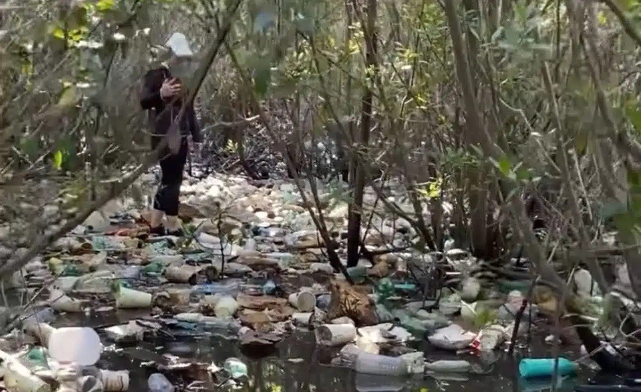 Residuos contaminantes