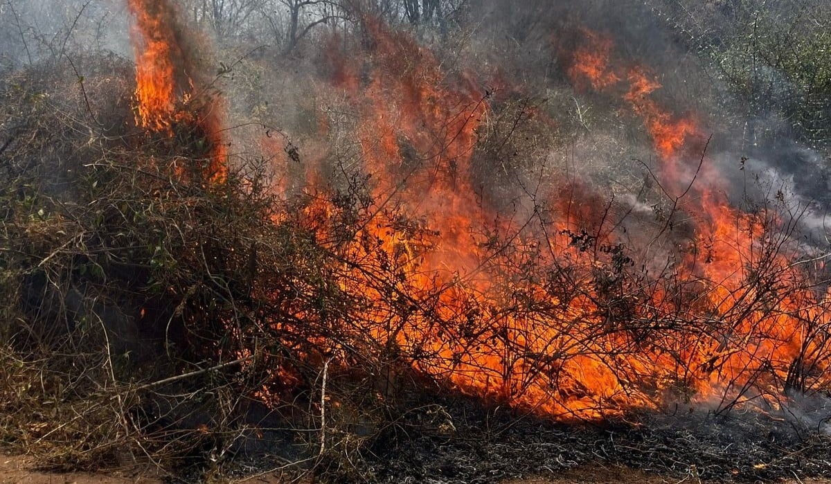 Incendio en Choix