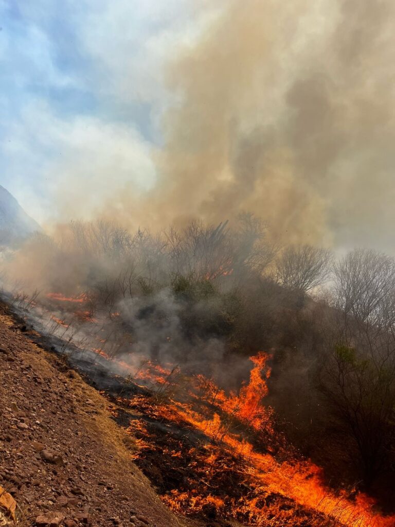 Incendio en Choix